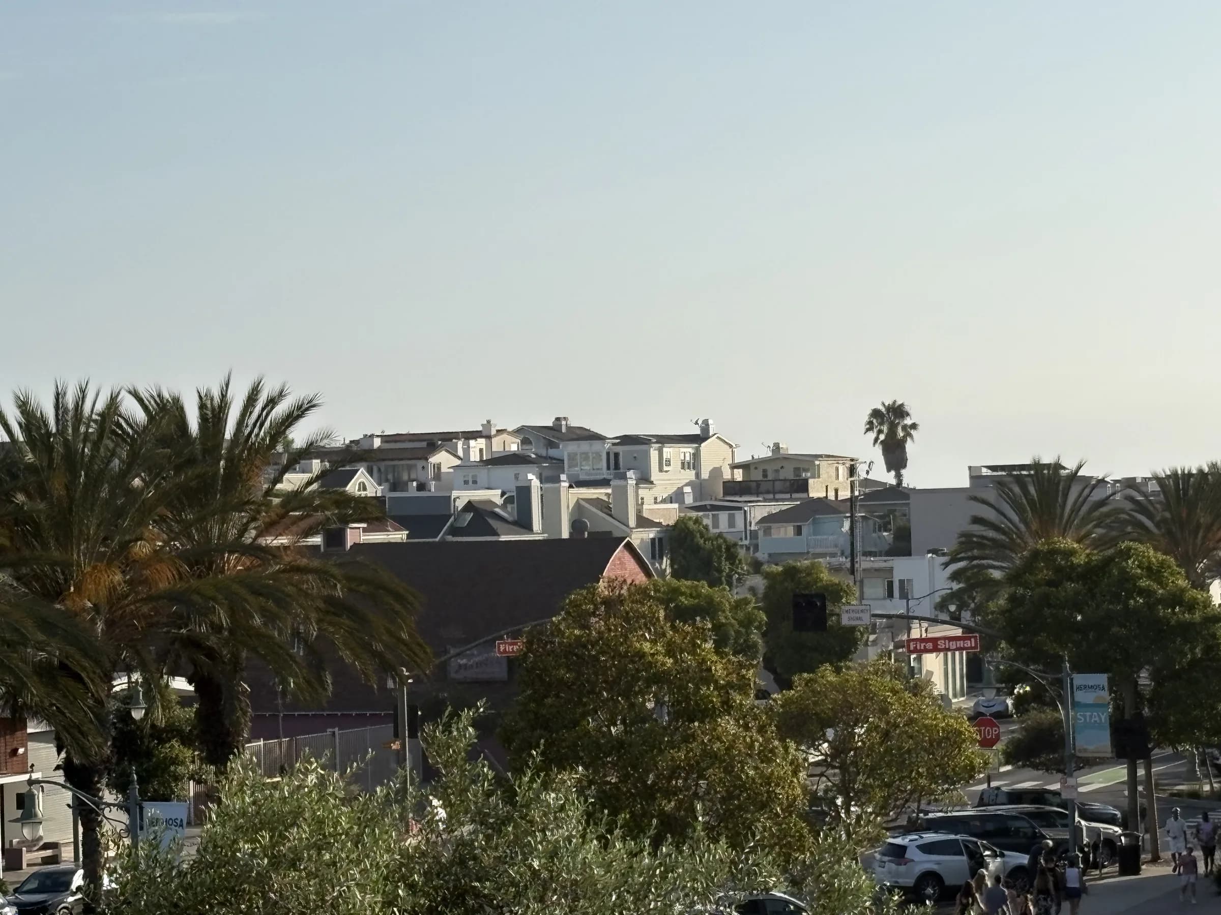 Homes and palm trees across a Hermosa Beach neighborhood