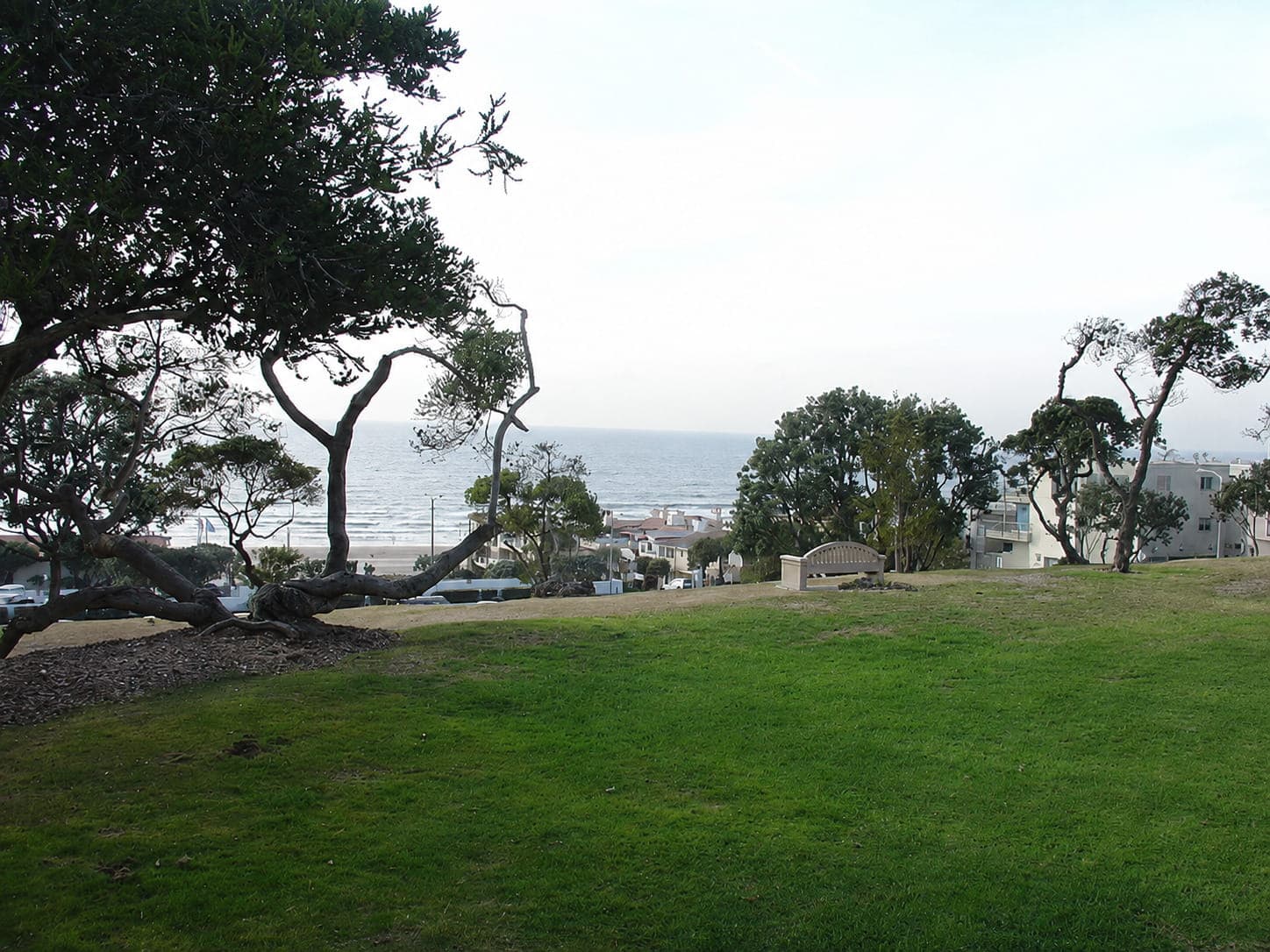Bruce’s Beach lawn overlooking the Pacific Ocean