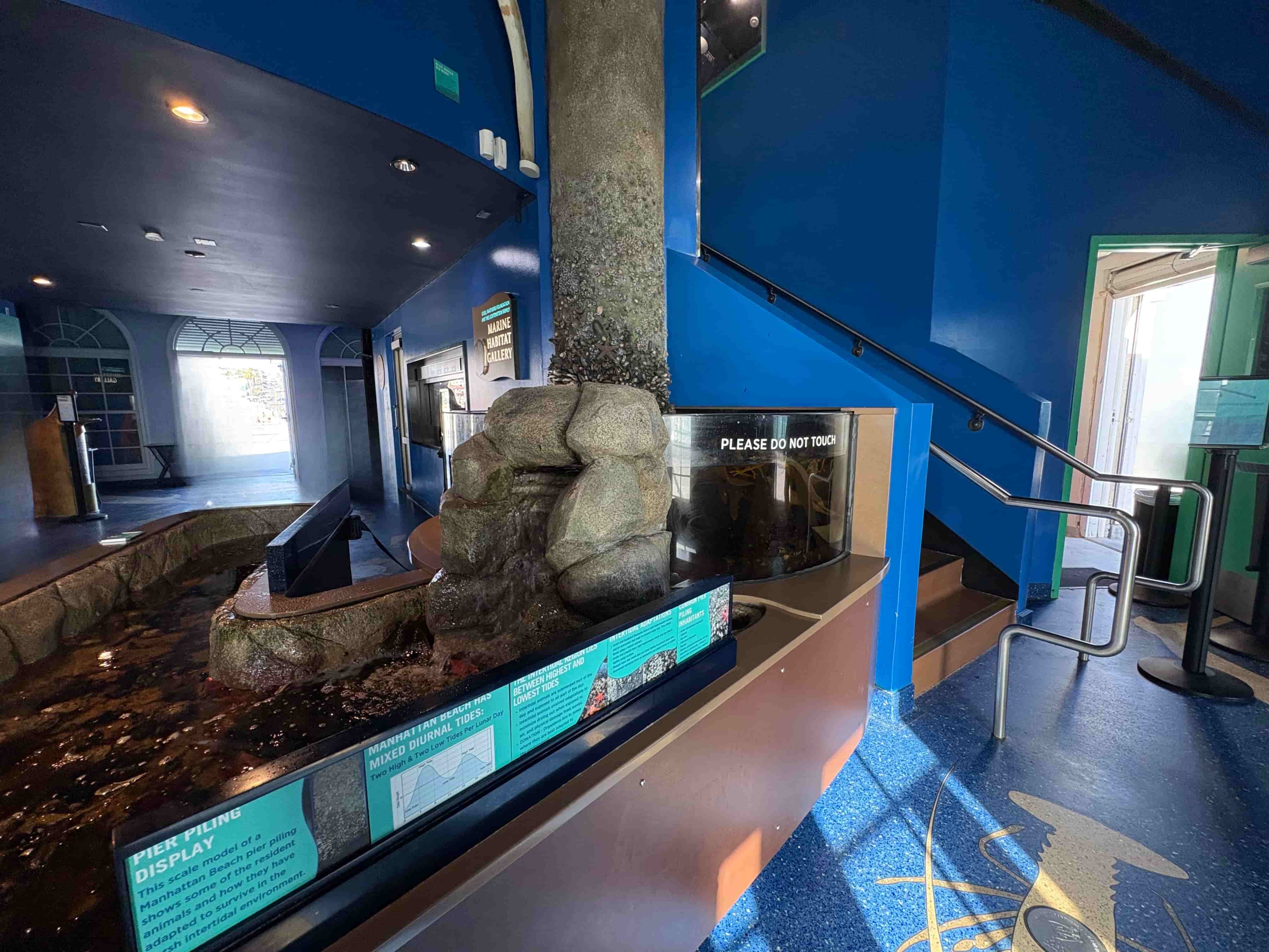 Marine life exhibits inside the Roundhouse Aquarium