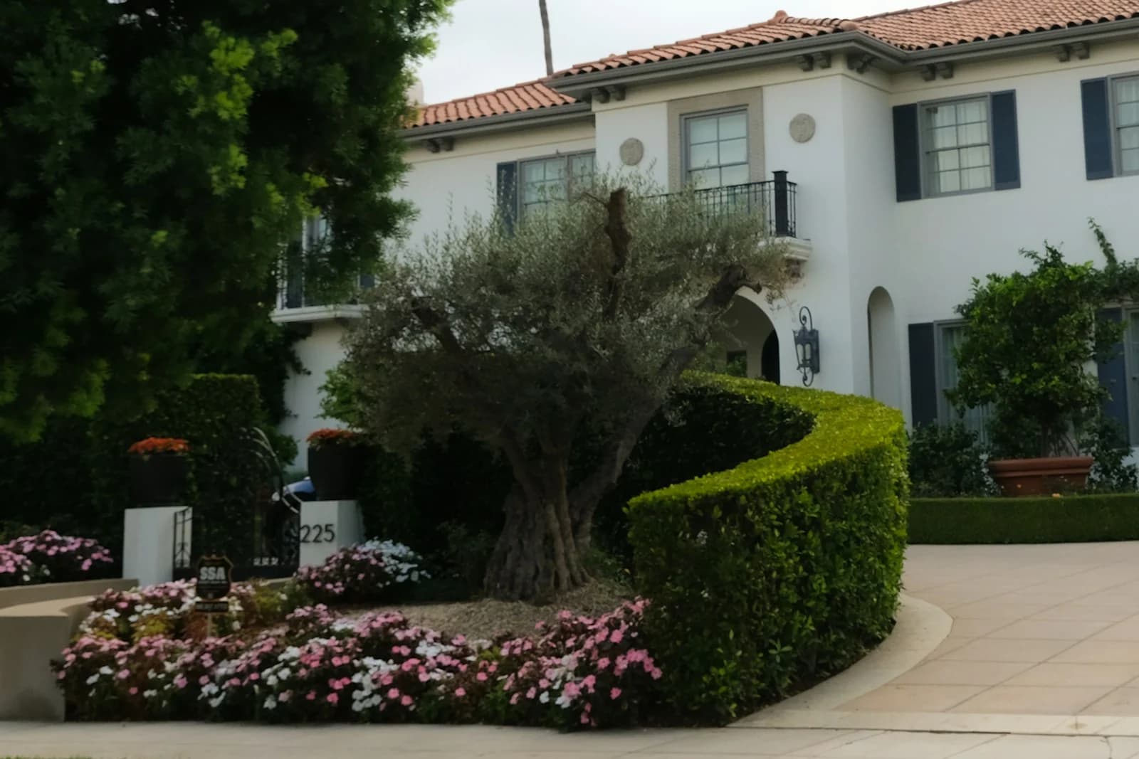 A formal Spanish-style residence behind palms and clipped hedges
