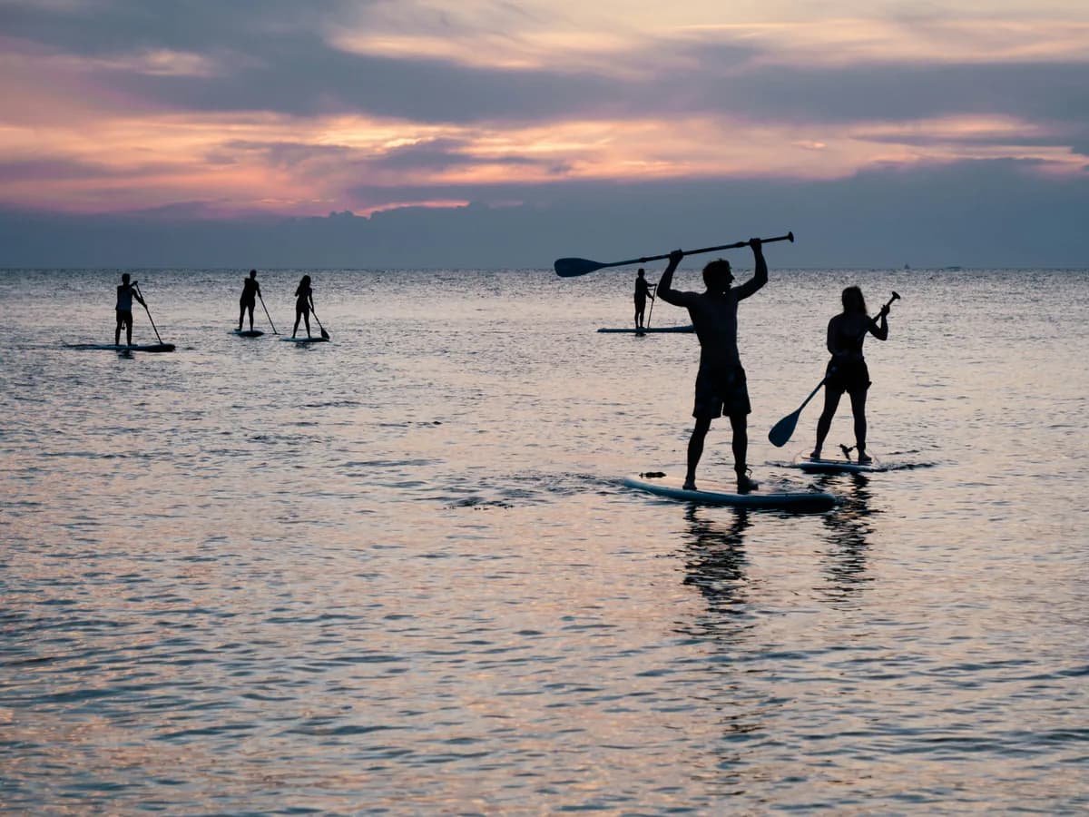 Paddleboarders carrying their boards through shallow water at sunset