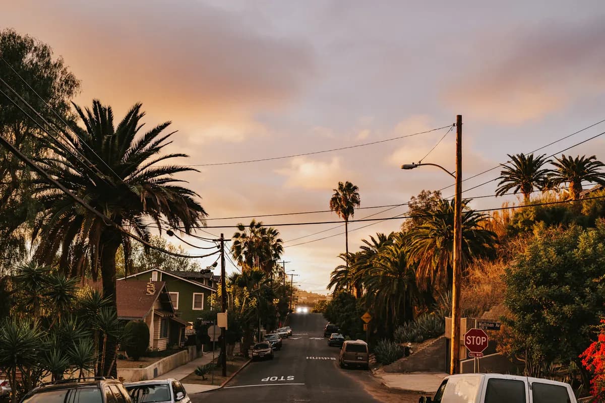 A palm-lined Los Angeles residential street at sunset
