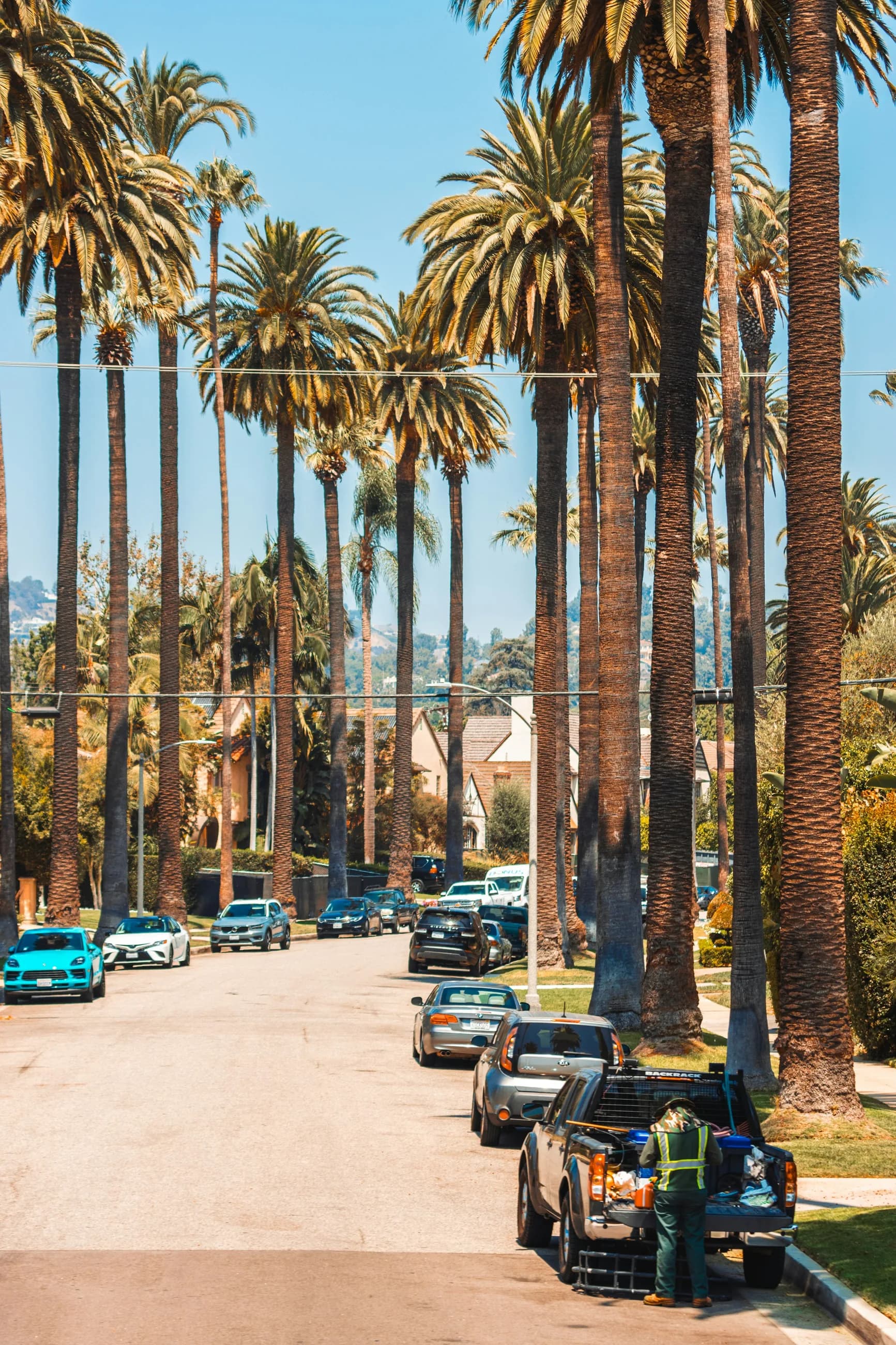 A palm-lined Beverly Hills residential street with everyday service activity