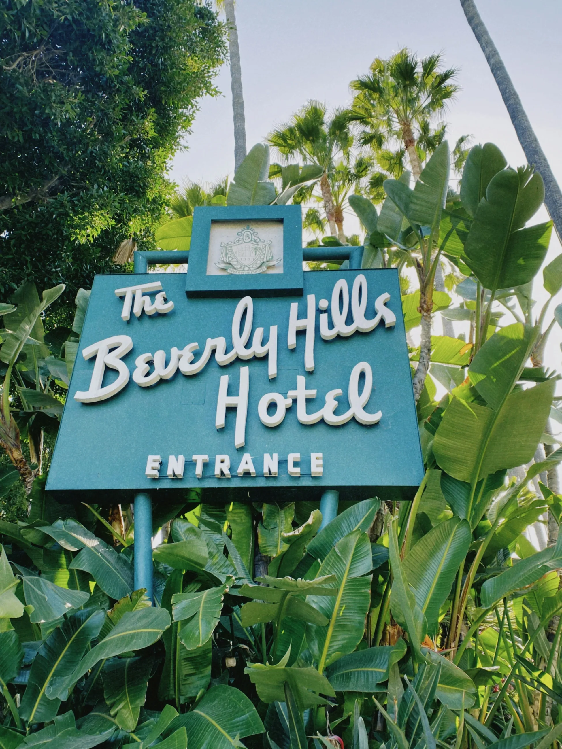 The green Beverly Hills Hotel entrance sign surrounded by tropical foliage