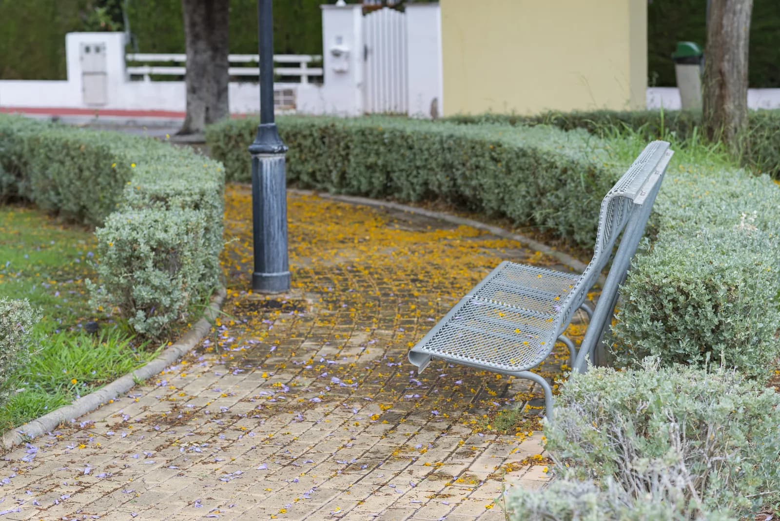 A metal bench beside a landscaped neighborhood park path