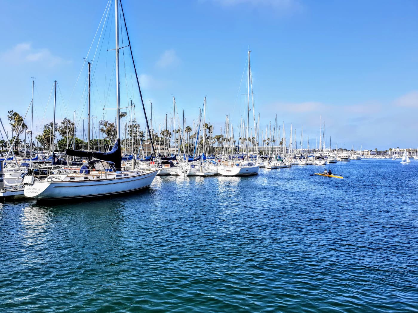 White sailboats and yachts on the bright blue Marina del Rey harbor
