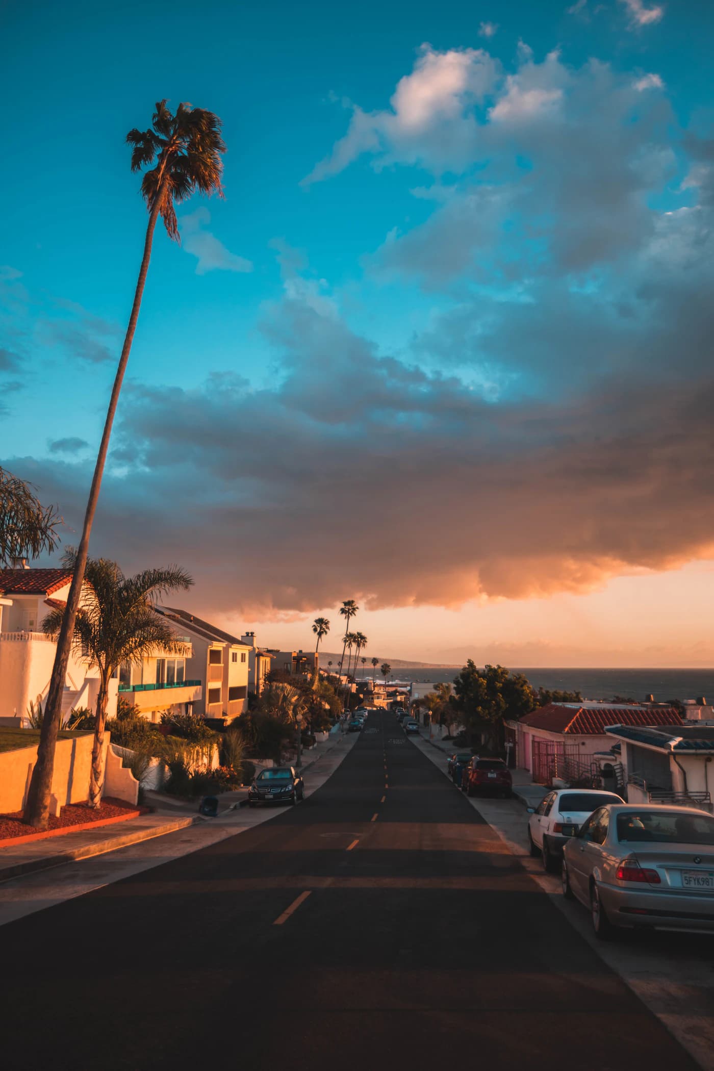 A palm-lined residential street descending through Marina del Rey