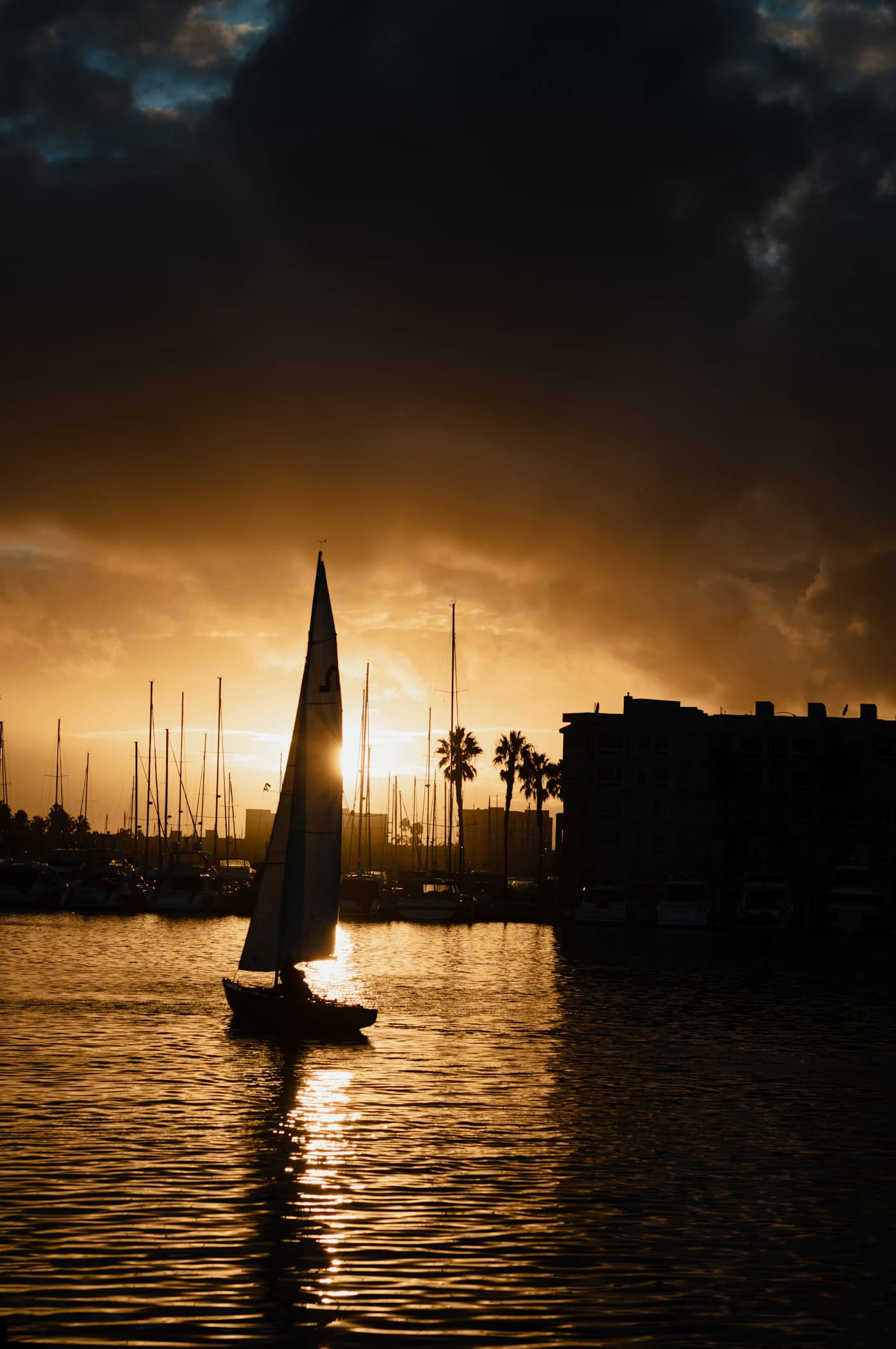 A sailboat crossing Marina del Rey at sunset with the city beyond