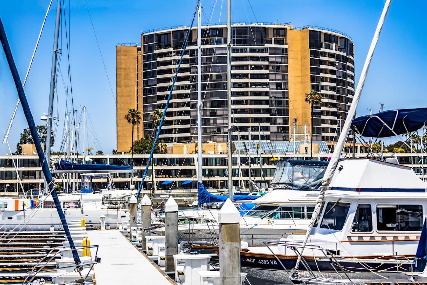 Marina del Rey condominiums rising behind a harbor full of yachts