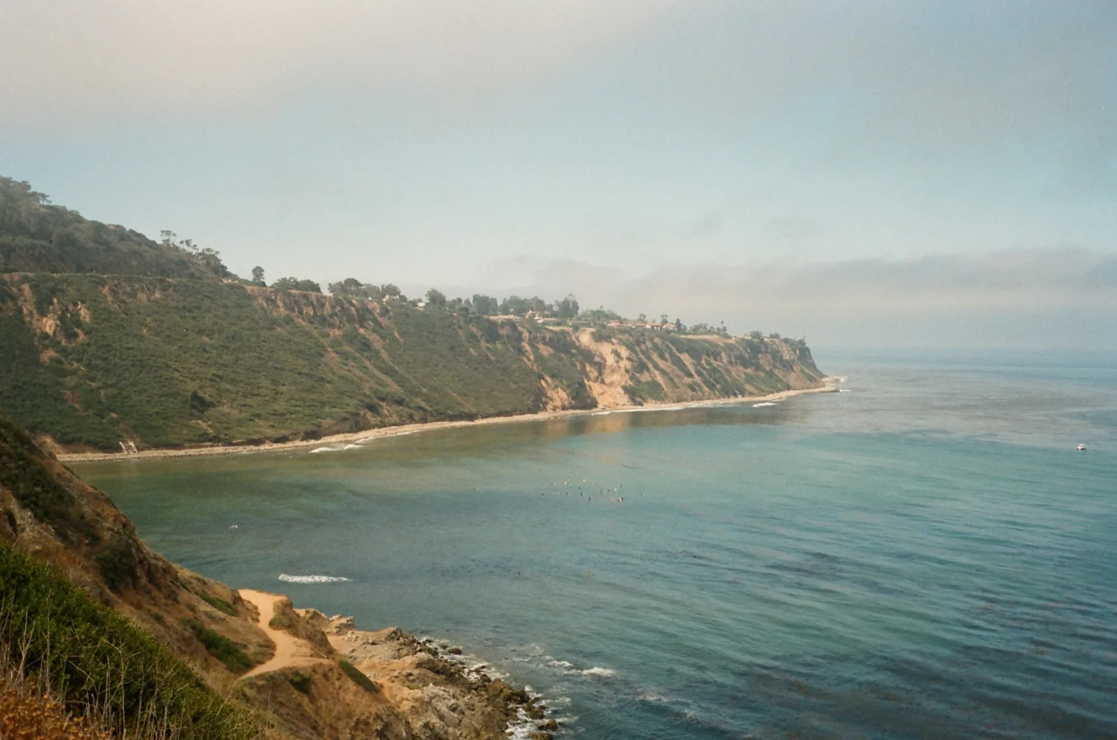 A broad view across the coves and green bluffs of Palos Verdes