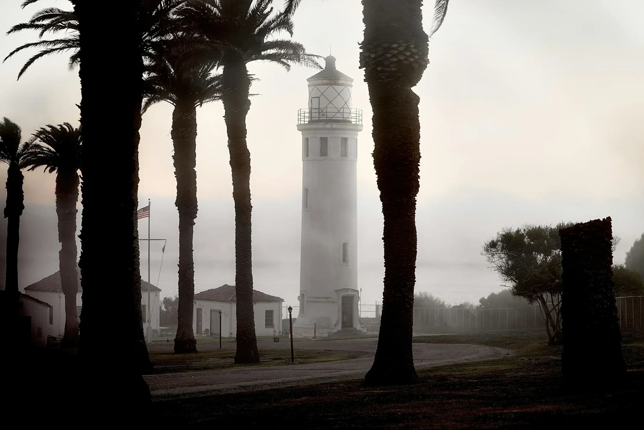 Point Vicente Lighthouse framed by palms in coastal fog