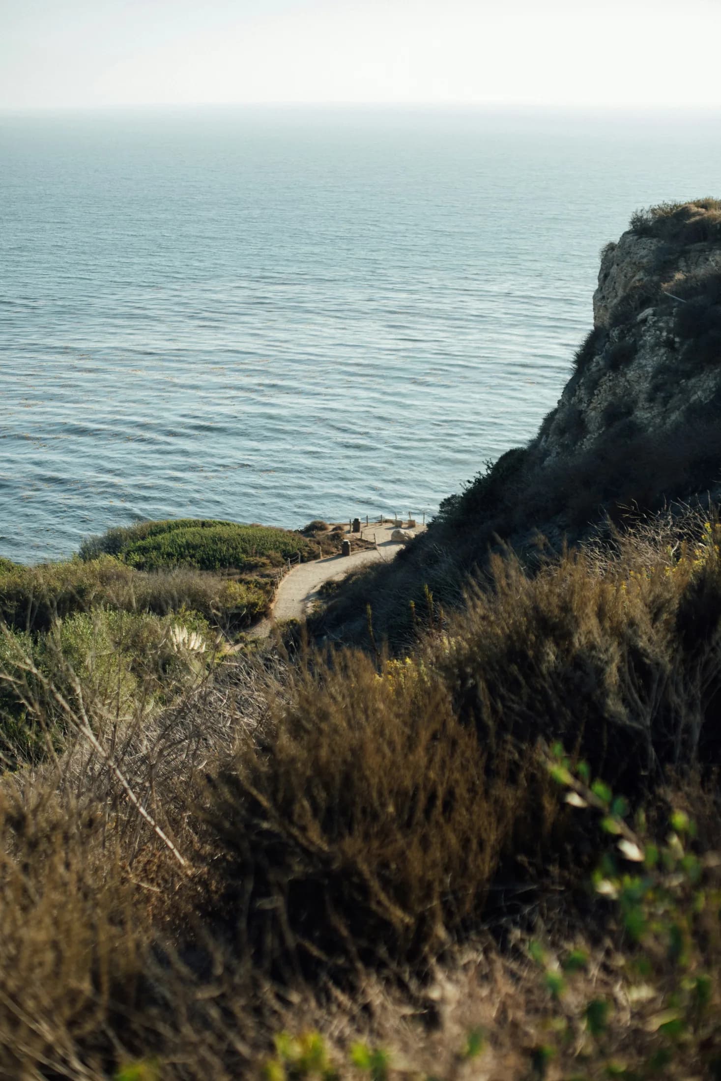 The ocean seen beyond a rugged, brush-covered Palos Verdes cliff