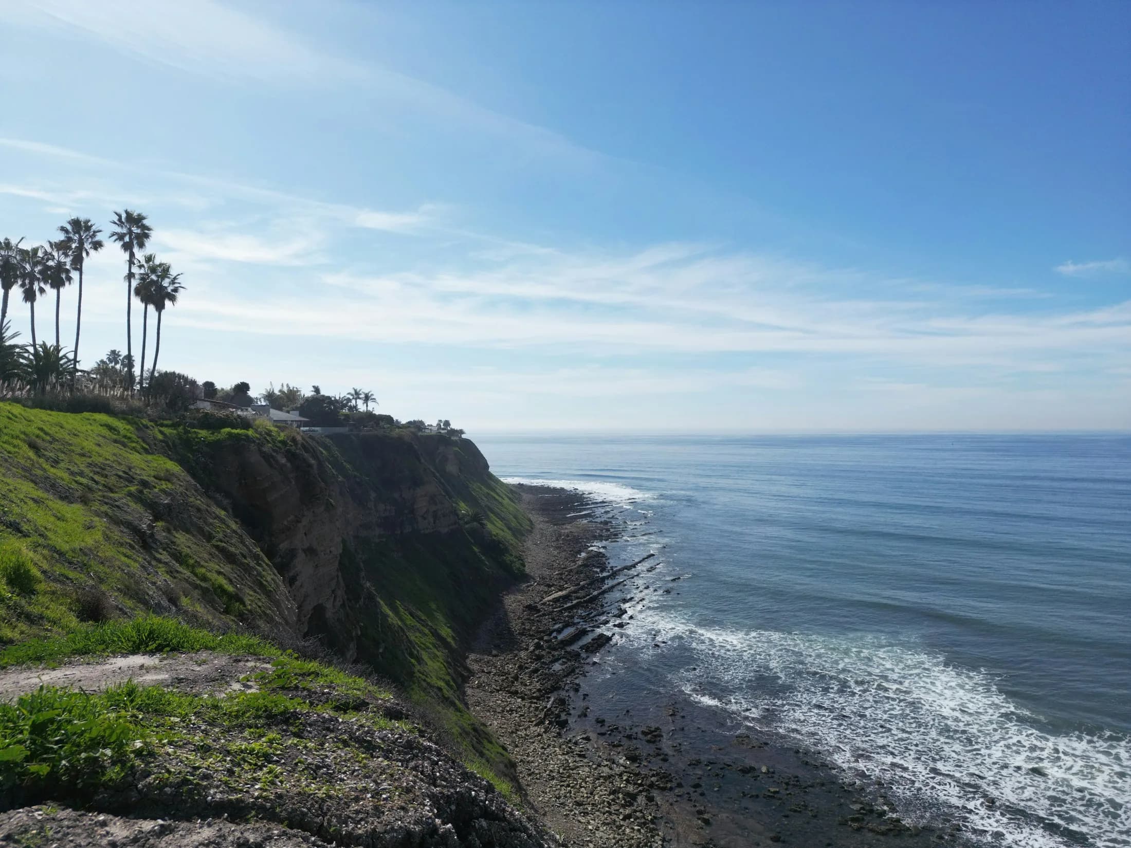 Green cliffs and palms above a curving Rancho Palos Verdes shoreline