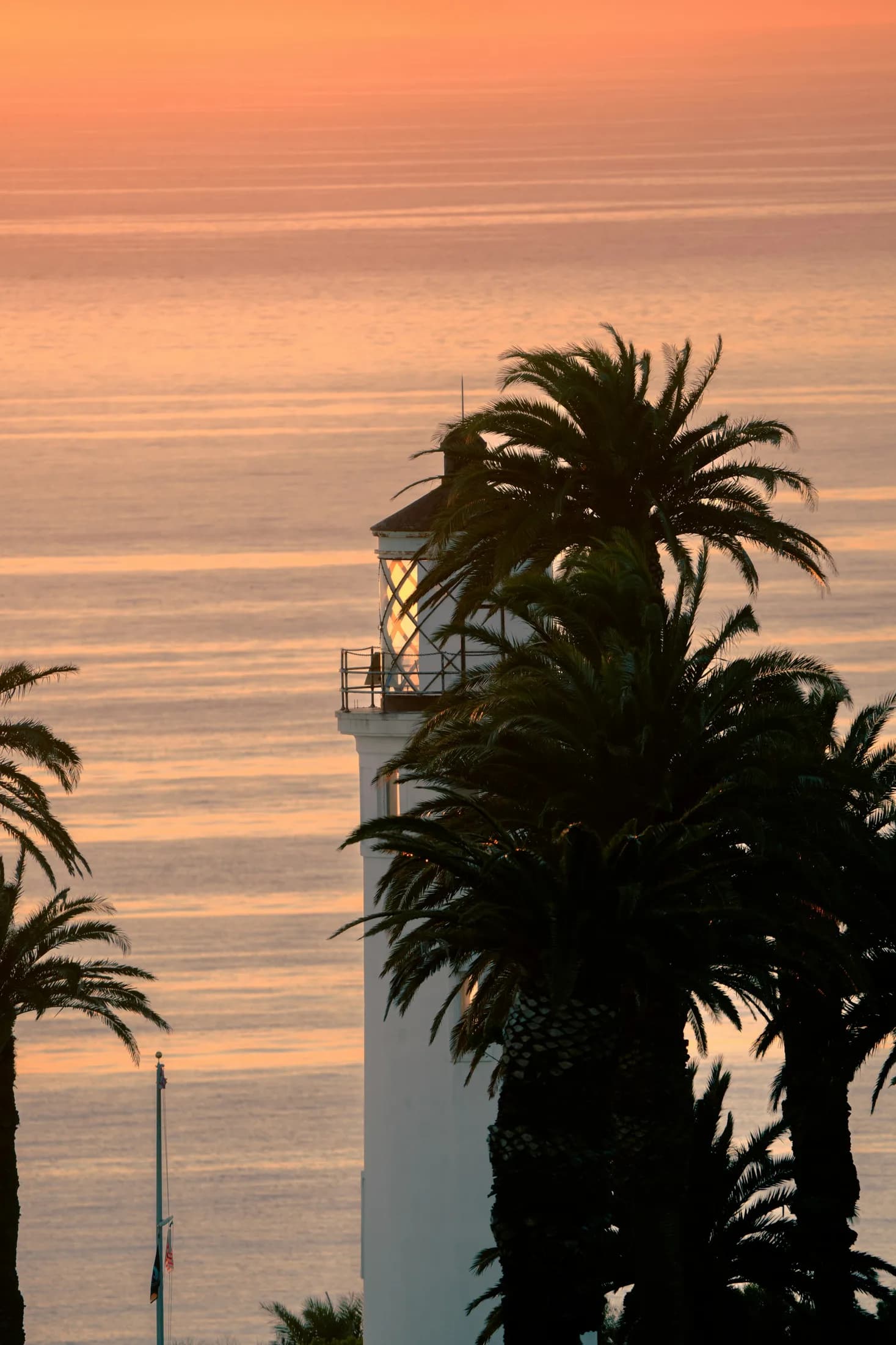 Point Vicente Lighthouse and palms silhouetted against a warm sunset