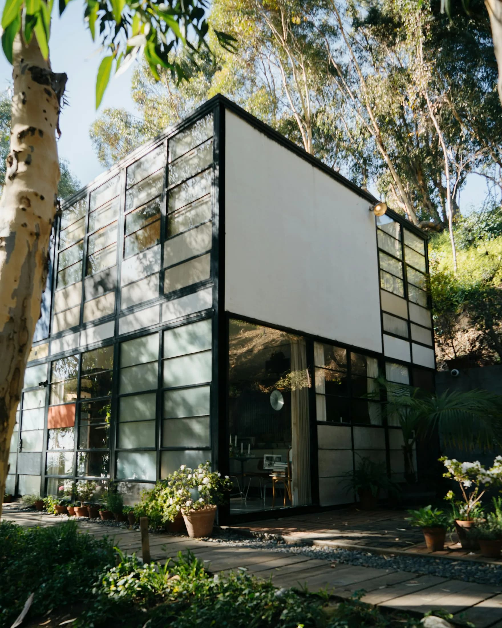 A modern glass-walled home nestled among mature Palos Verdes trees