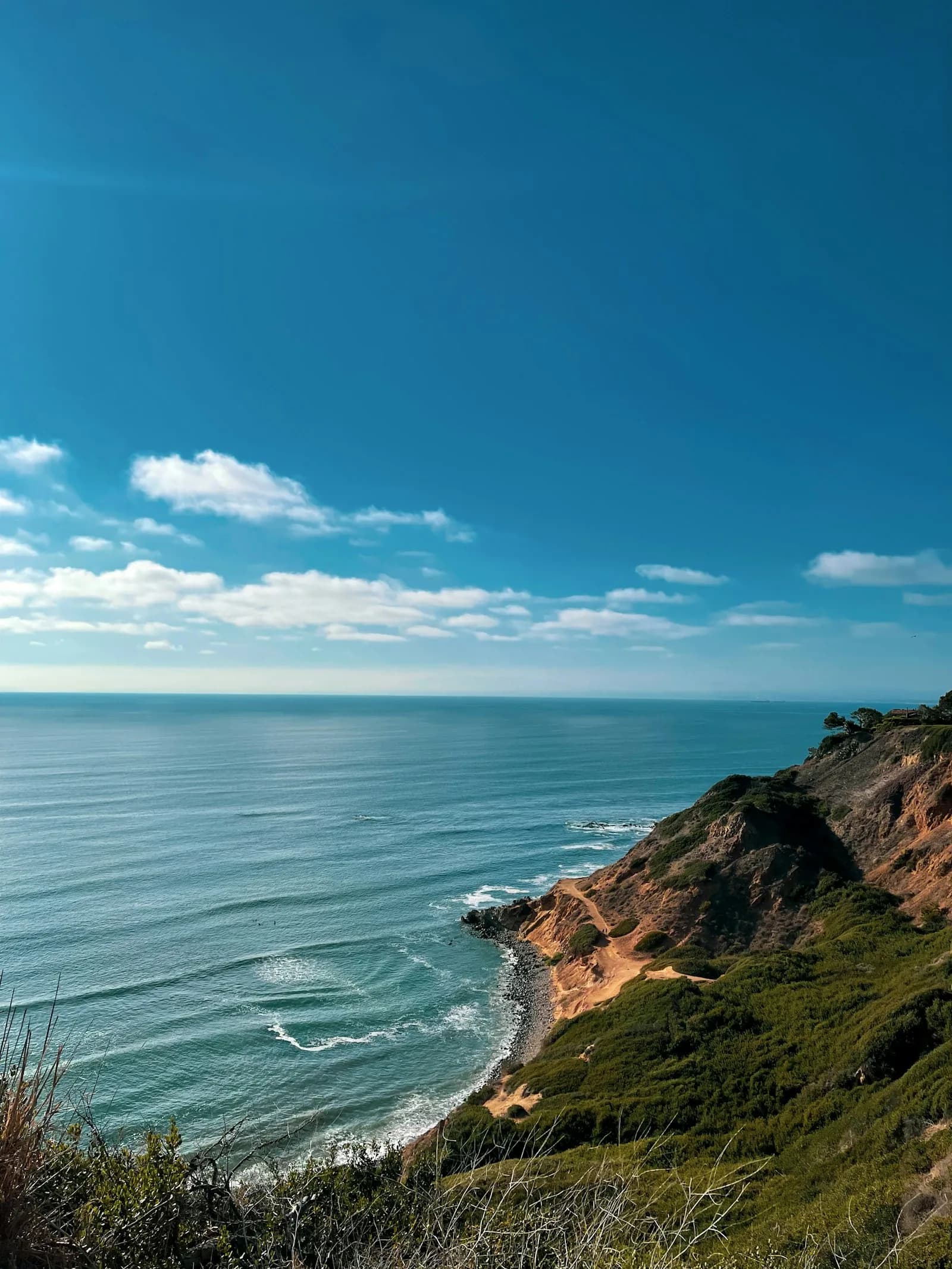 A steep green cliff above calm Pacific water