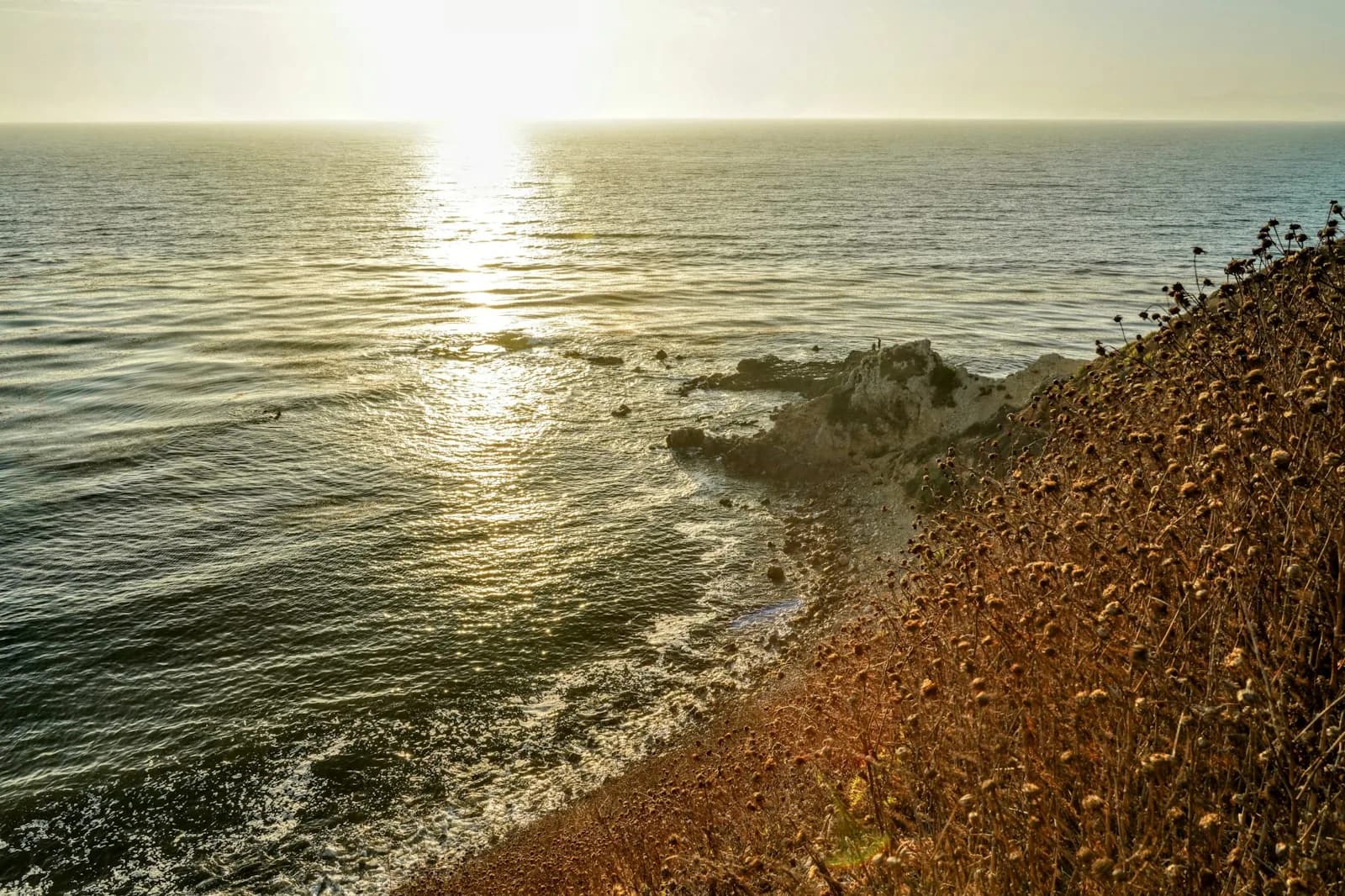 Golden-hour sunlight across a coastal bluff and the Pacific