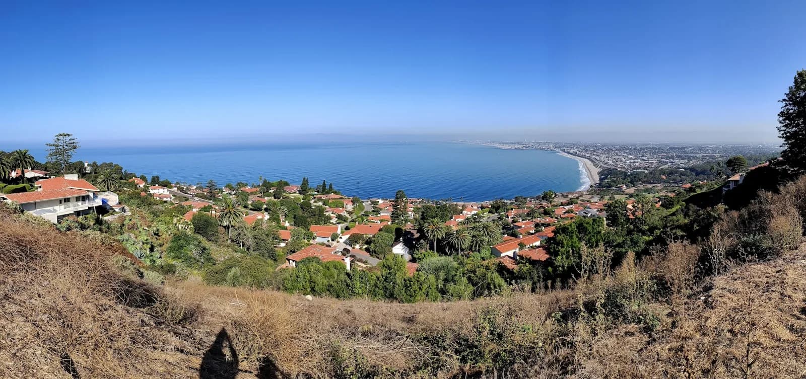 Hillside residences descending toward the Pacific