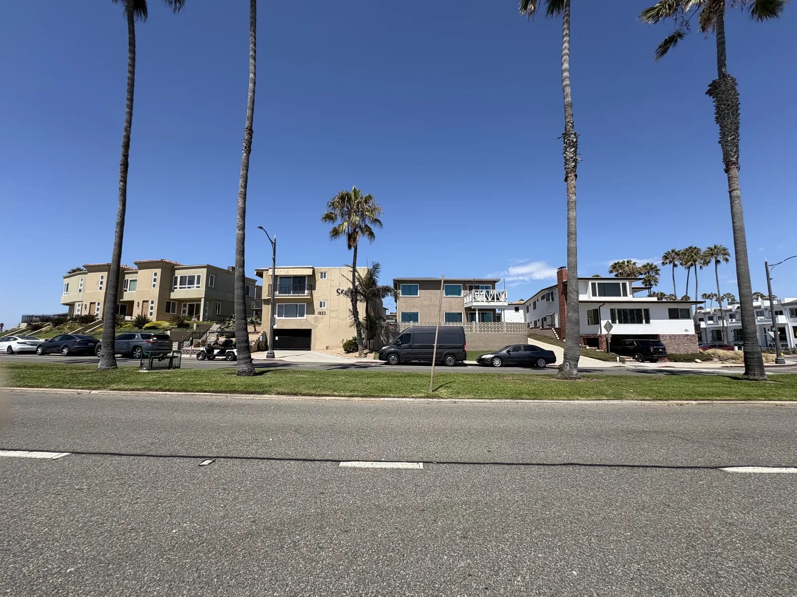 Low-rise Esplanade apartments beneath tall palm trees