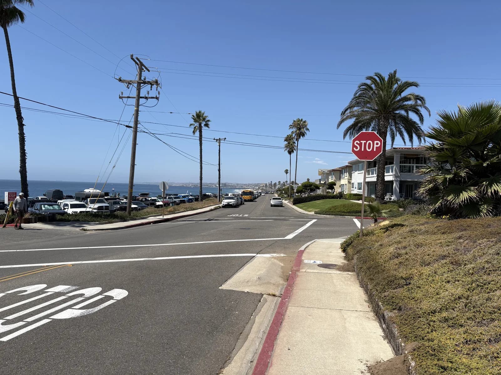 Ocean-facing residential road lined with palms and coastal homes