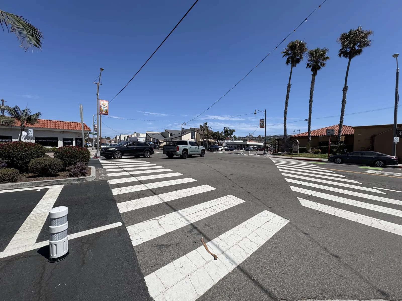 Wide palm-lined crosswalk connecting Redondo Beach neighborhood blocks