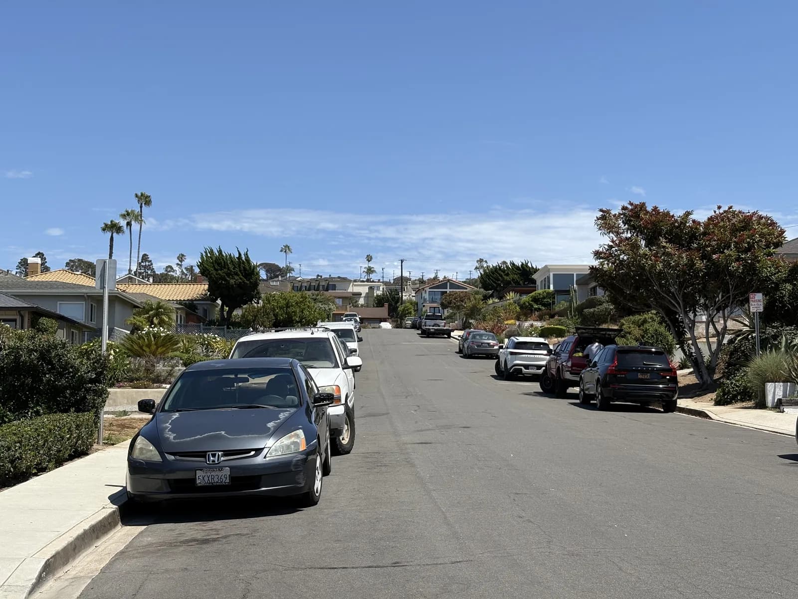 Quiet residential street lined with mature trees and coastal homes