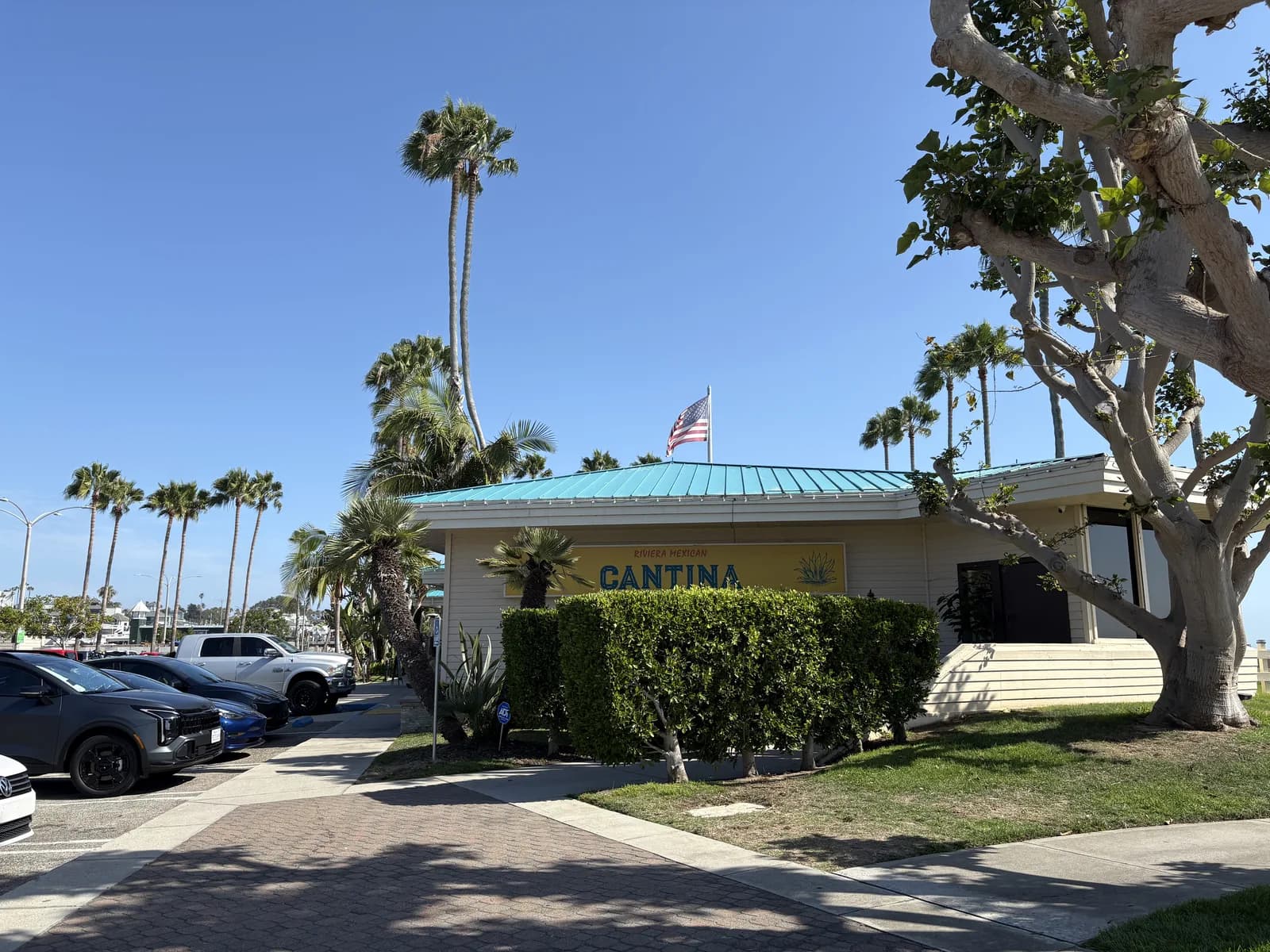 Palm-framed local restaurant near the Redondo Beach waterfront
