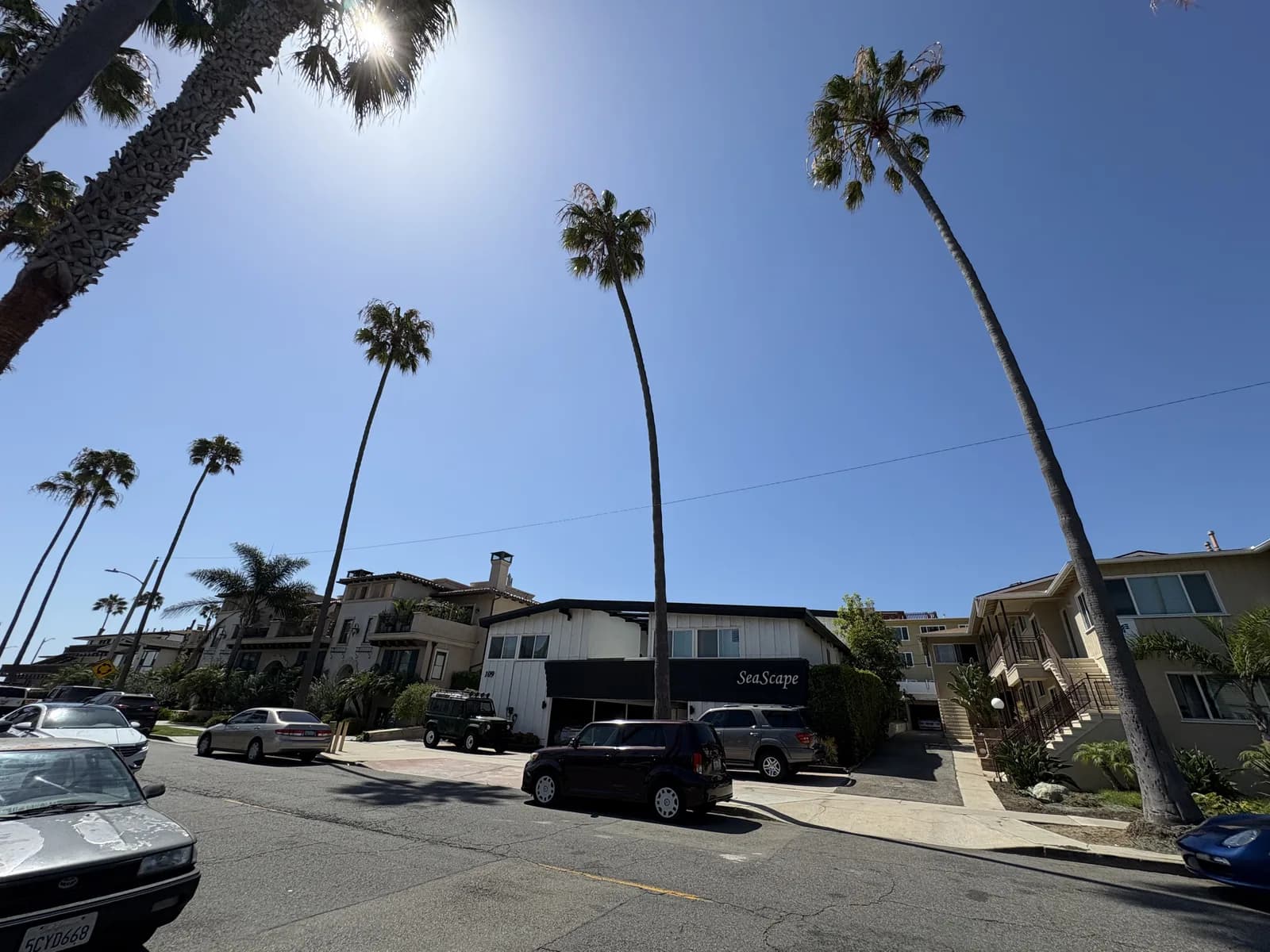 Walkable Riviera Village street lined with palms and local storefronts