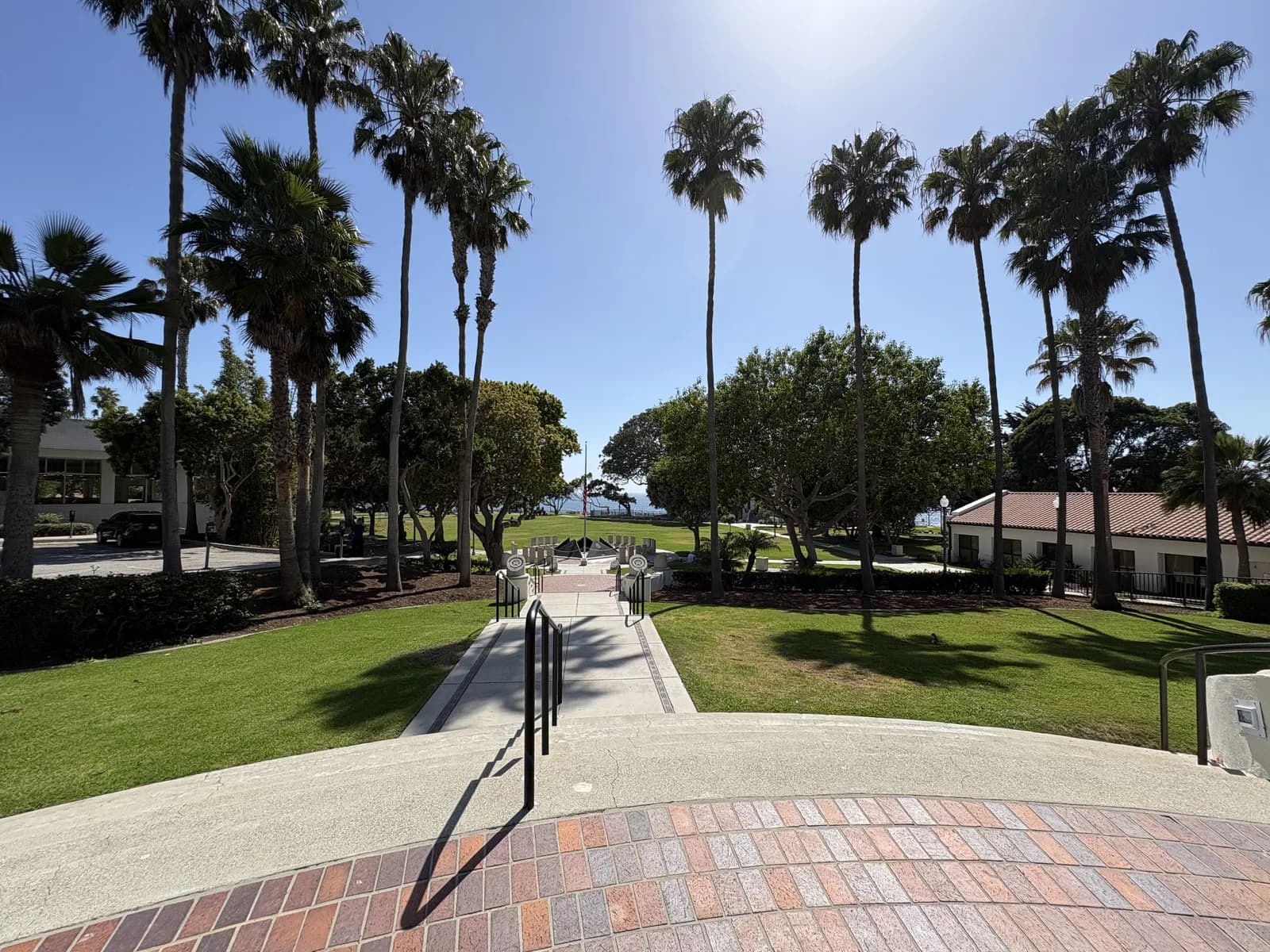 Palm-lined walkway and lawn through Veterans Park
