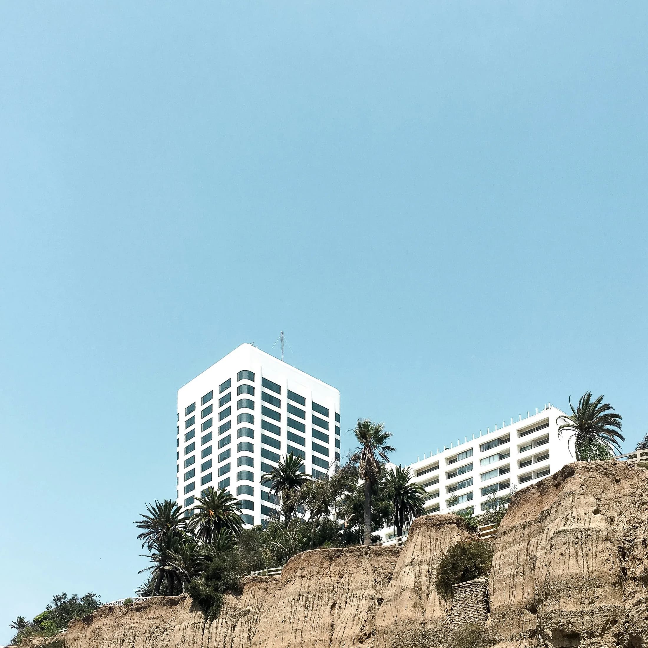 Palm-framed apartment towers rising above a Santa Monica neighborhood