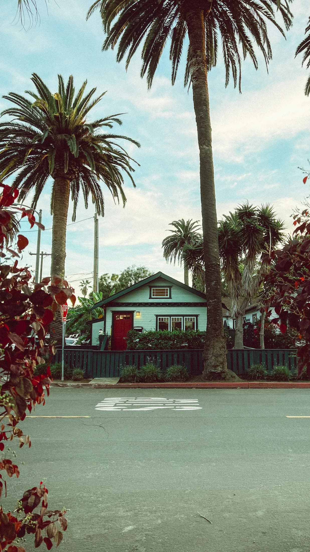 A palm-framed house on a quiet residential street in Santa Monica