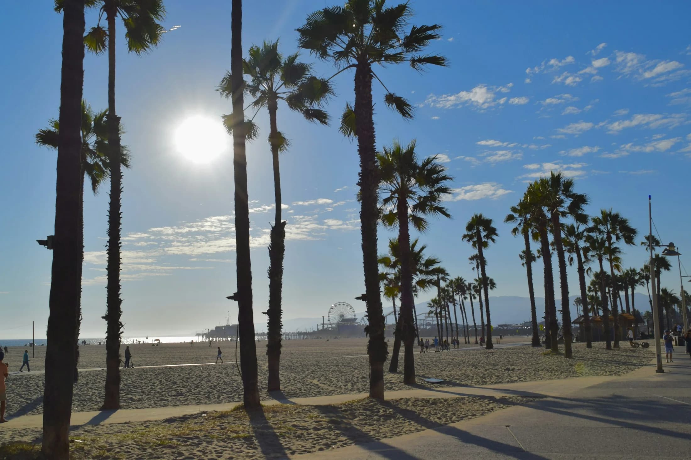 Tall palms casting long shadows across Santa Monica Beach
