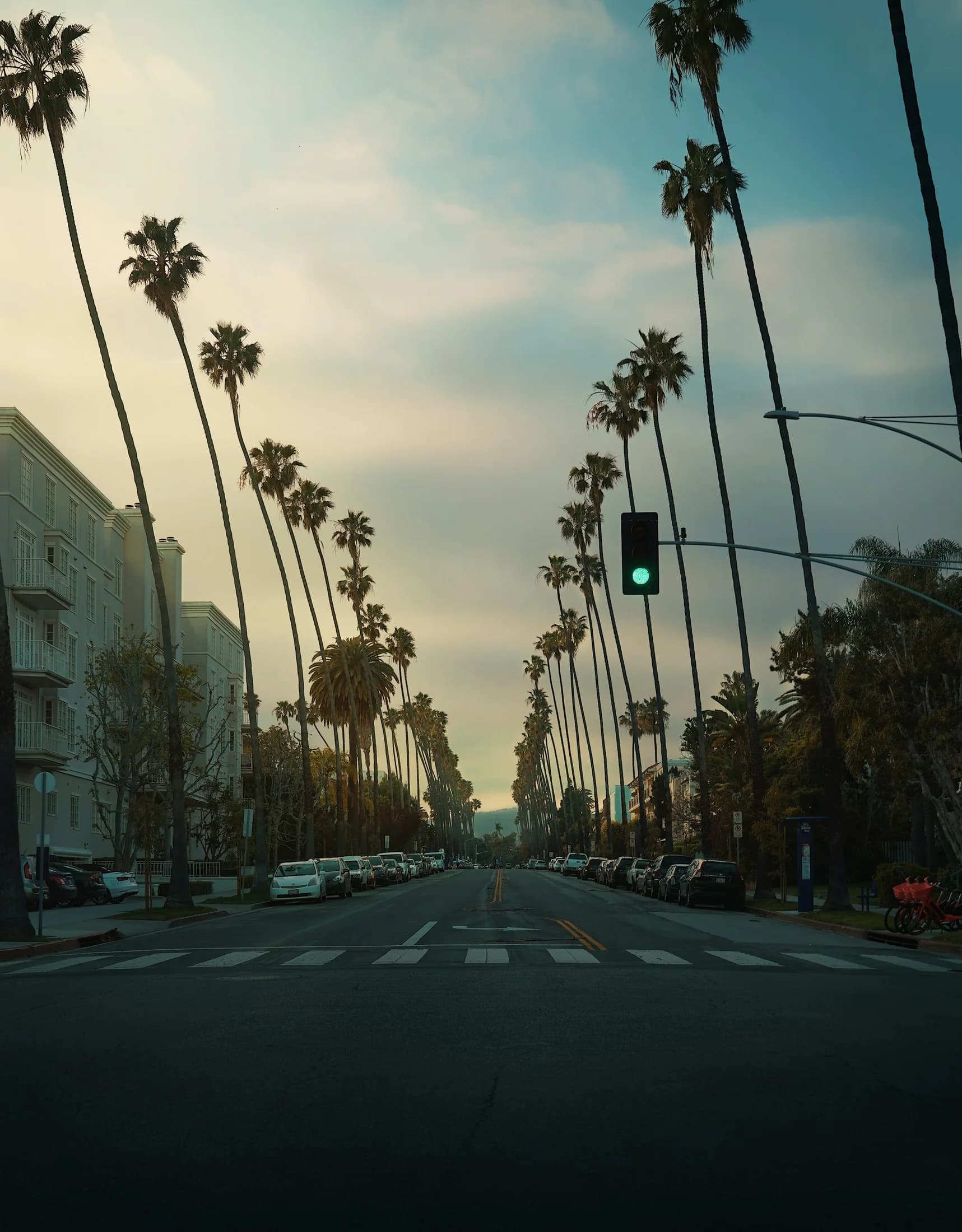 A quiet Santa Monica street lined with tall palms