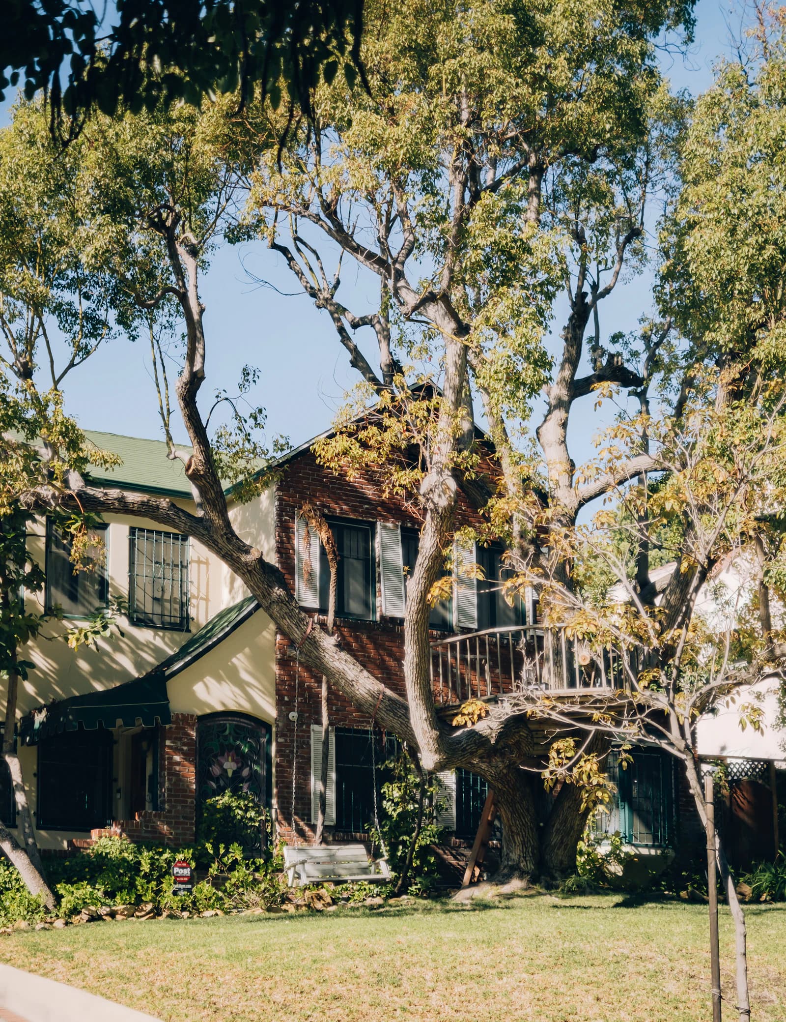 A Los Angeles home shaded by a mature street tree