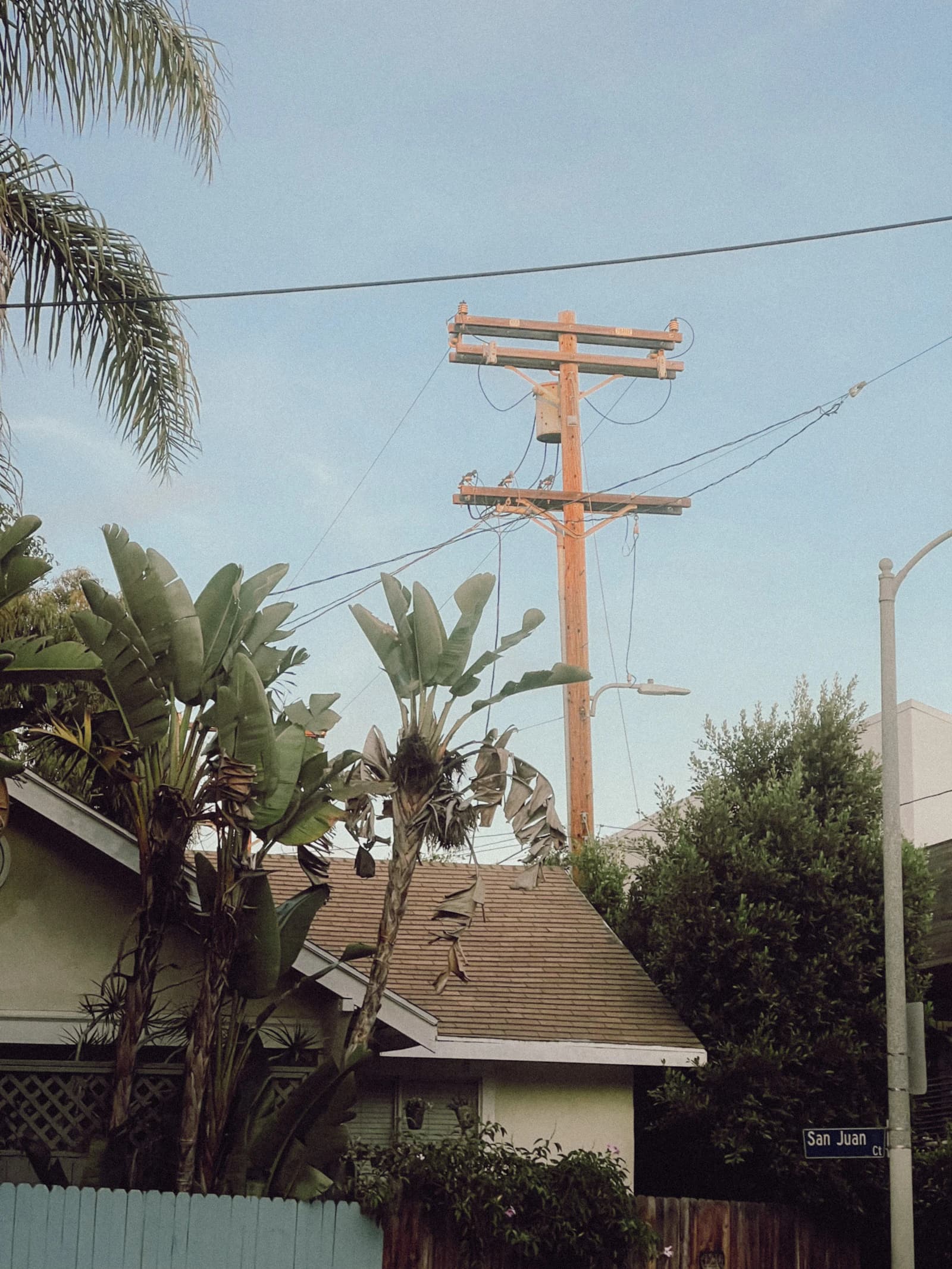 A modest Los Angeles home framed by palms and utility lines