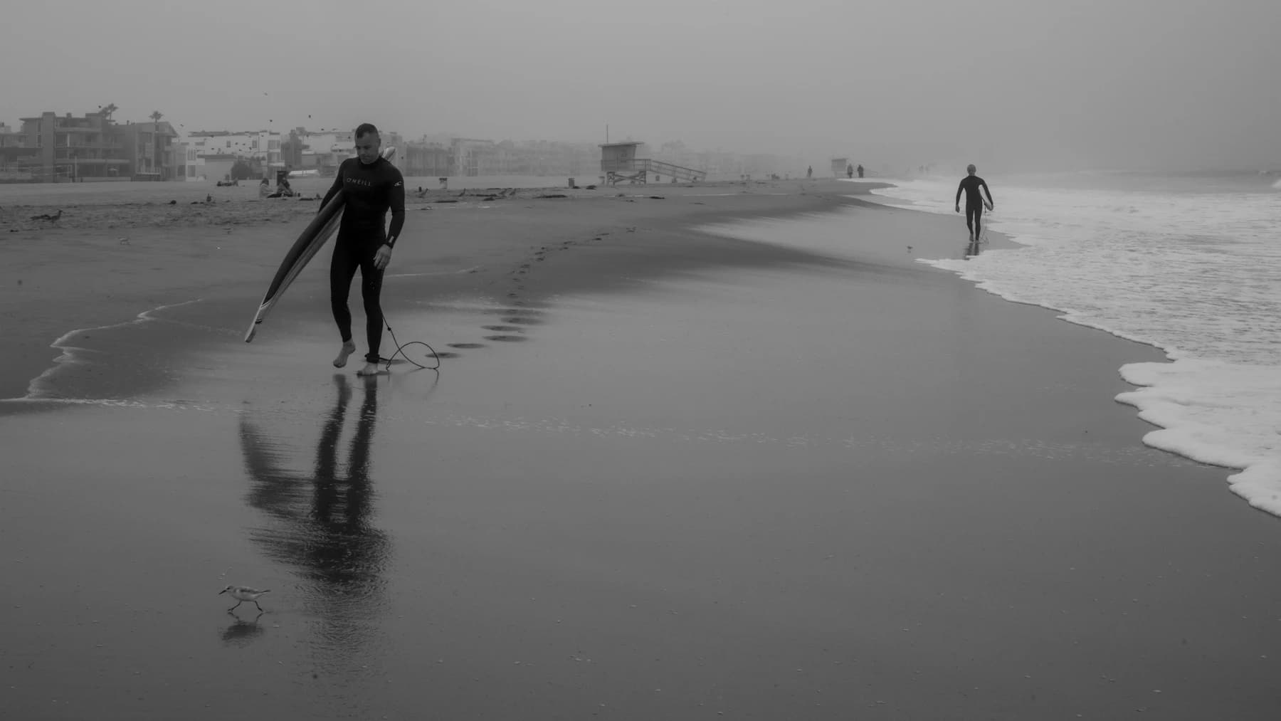Surfers walking beside a modest, quiet shoreline
