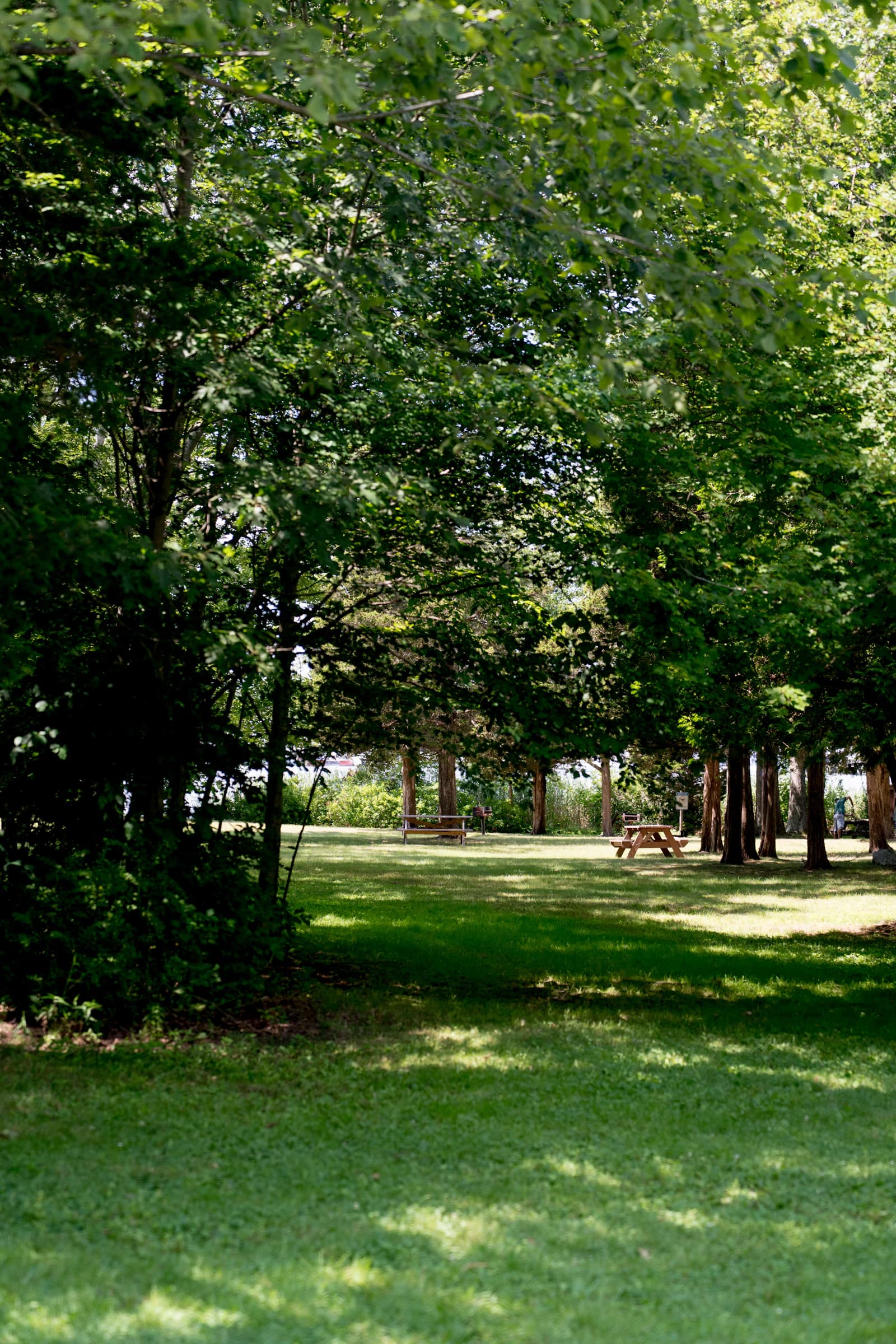 A shaded neighborhood park with an open lawn