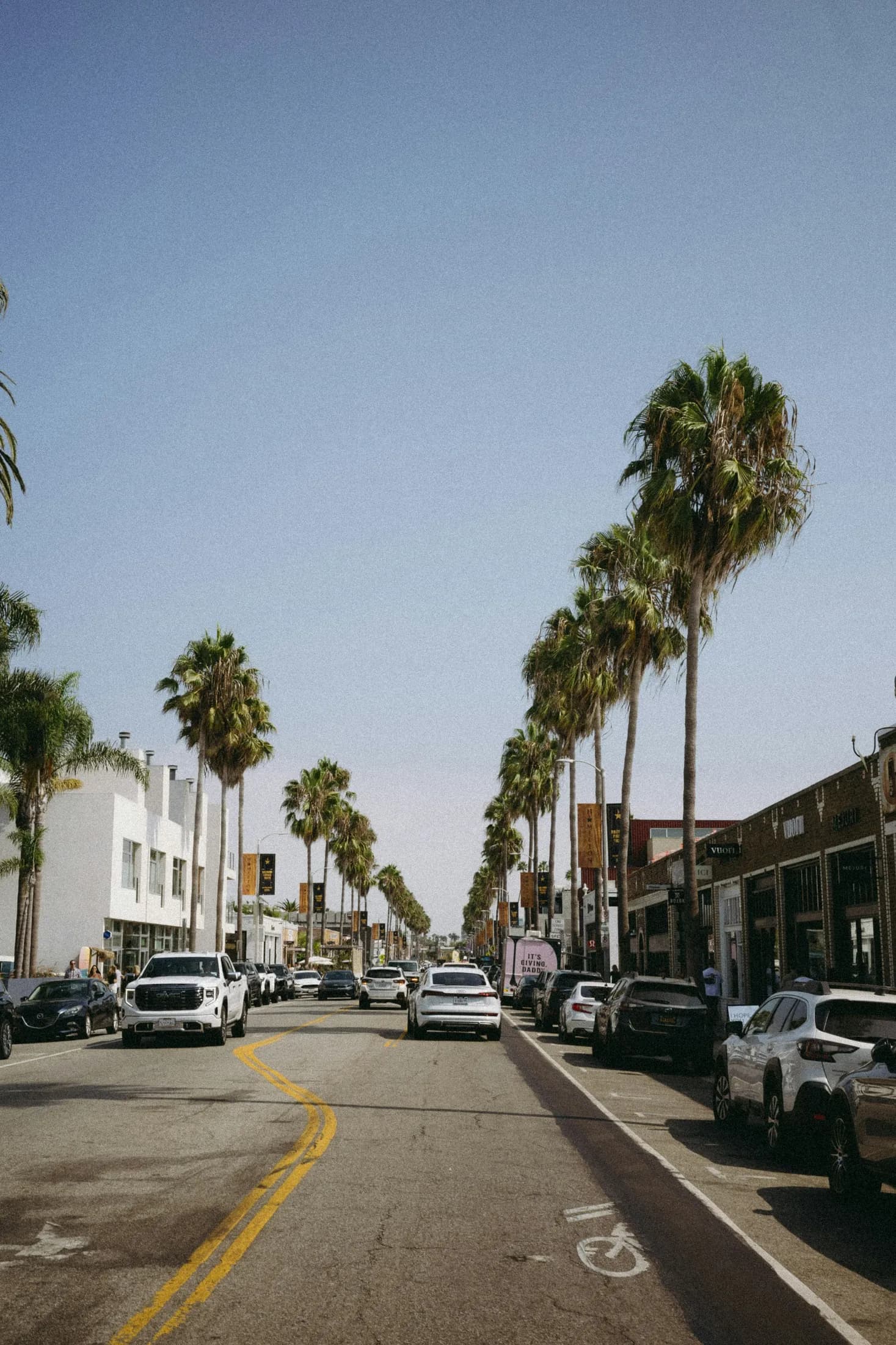 Palm trees and independent storefronts along Abbot Kinney Boulevard