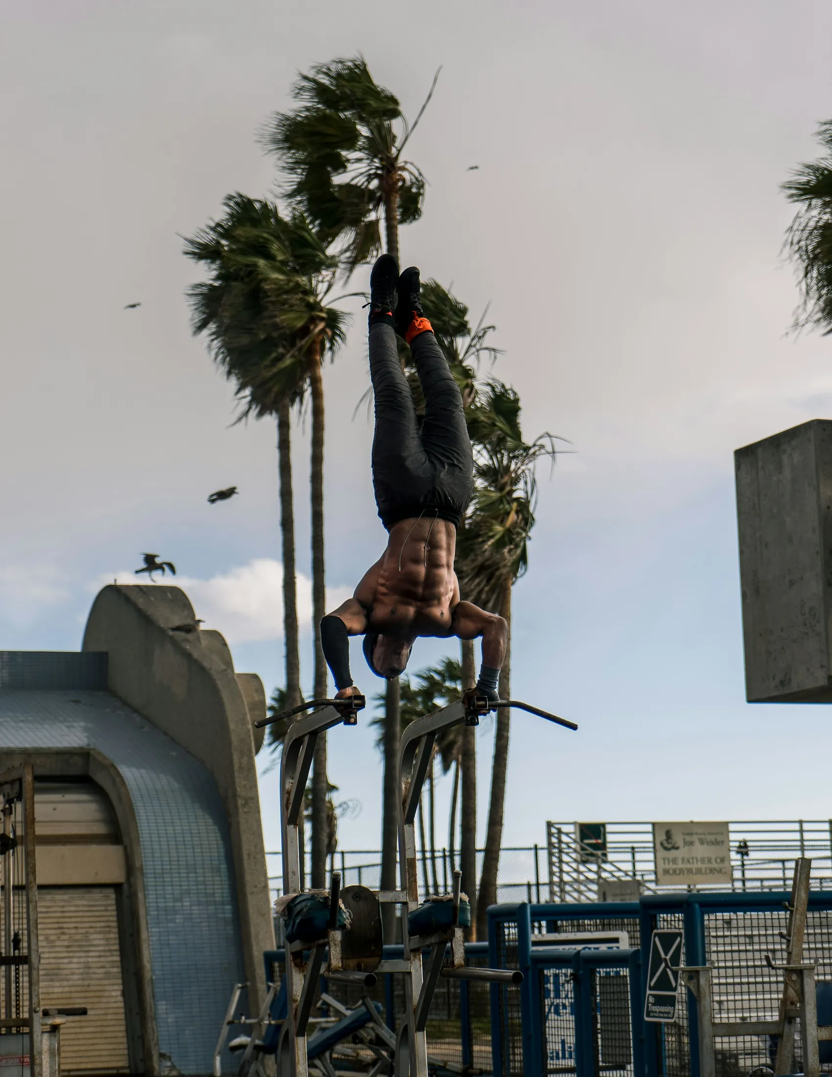 An athlete training on the outdoor apparatus at Muscle Beach Venice