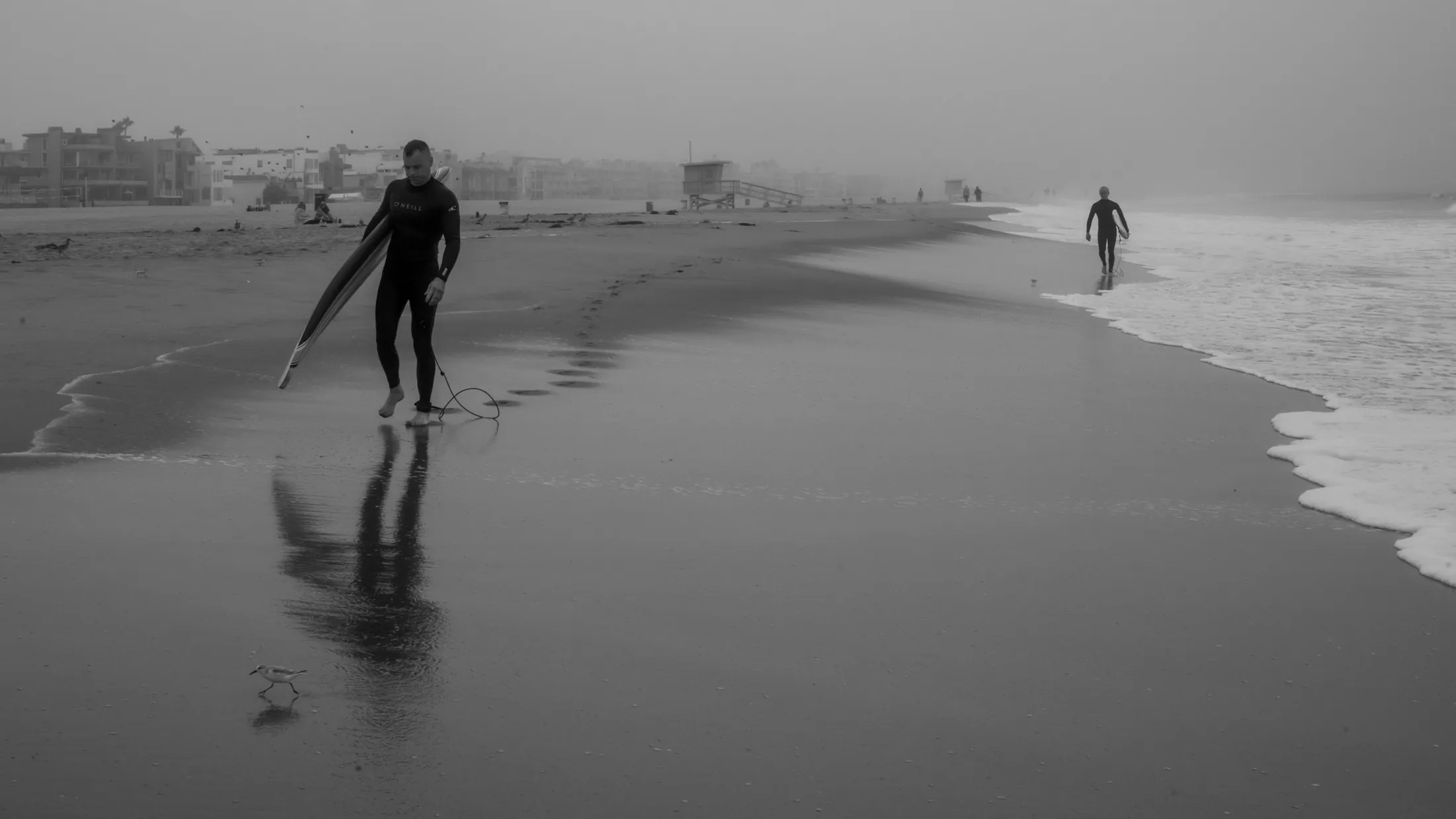 Two surfers carrying their boards along the Venice shoreline