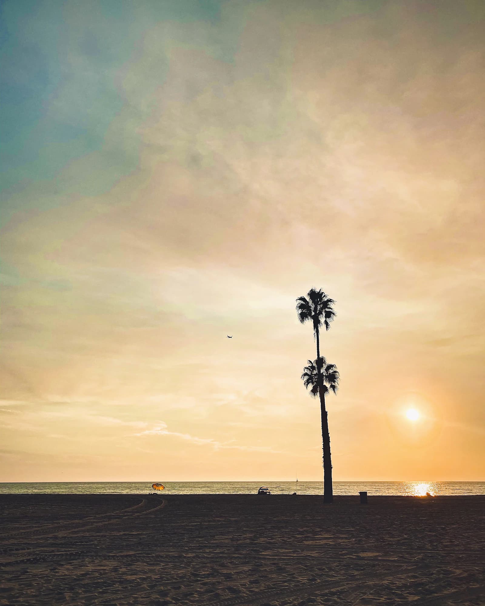 Tall palms silhouetted against the sunset at Dockweiler State Beach